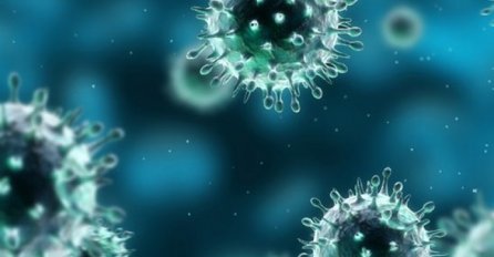 U Federaciji BiH u 2019.godini prijavljeno 45.428 oboljelih od zaraznih bolesti