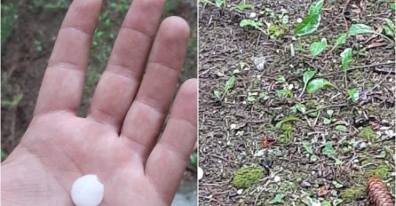 STRAHOVITO NEVRIJEME, GRAD RASTURIO OVAJ DIO DRŽAVE: Ledena kiša sve uništila, VELIKA MATERIJALNA ŠTETA