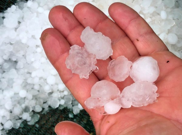 117891269-745716755992091-640425148839786234-n