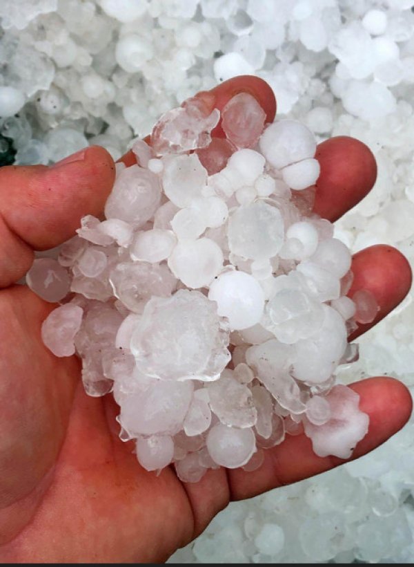 117888906-340308260487895-4338849177391573362-n