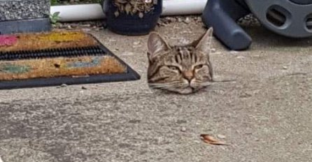 VIDITE LI NEŠTO ČUDNO NA OVOJ SLICI? SVI GLEDAJU I NIKO NE MOŽE DA SKONTA: Šta se ovdje desilo?