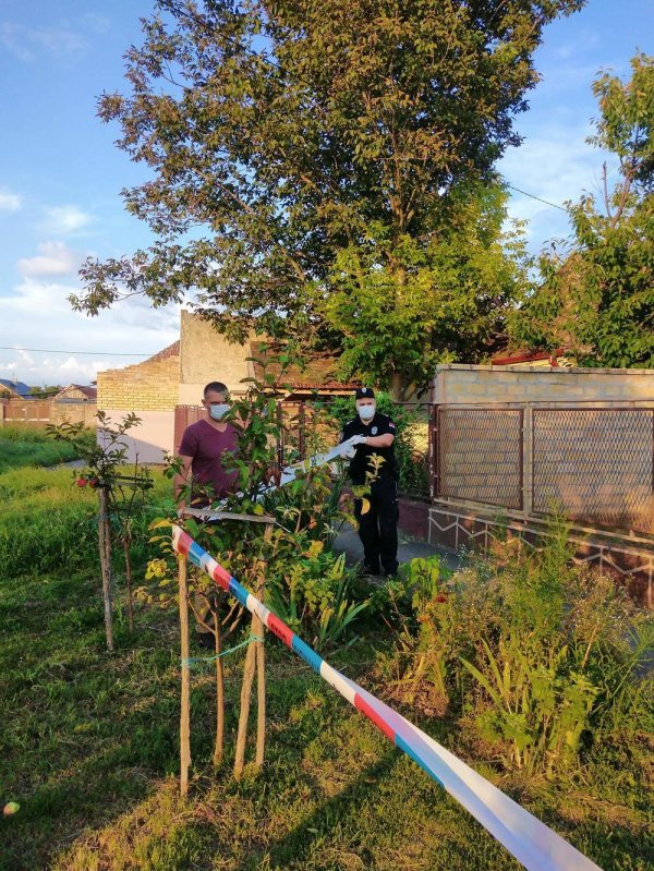 804259-2304801-received294767858489844-ff-ff