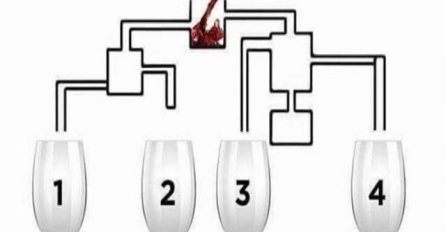 RJEŠENJE ĆE VAS IZLUDITI: Mozgalica koja je mnoge namučila koja čaša će se prva napuniti?