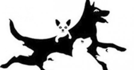 OČI VAS VARAJU: Ova optička zagonetka postala je hit na društvenim mrežama KOLIKO PASA VIDITE NA FOTOGRAFIJI? 