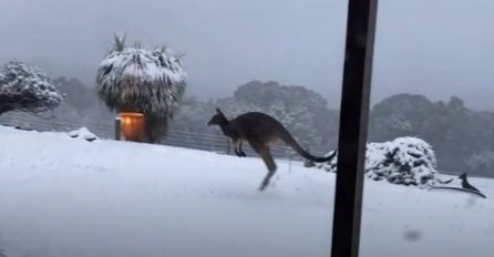 SNIJEG ZABIJELIO DRŽAVU, NAPADAO U AVGUSTU: Pogledajte NEVJEROVATNE prizore, KUĆE ZATRPANE! (FOTO, VIDEO)