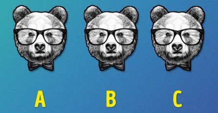 KOJI MEDO JE DRUGAČIJI? MOŽETE LI POGODITI: 1 detalj para oči, NISU SVI ISTI