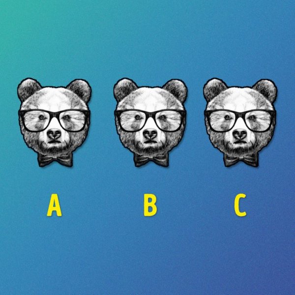 118212589-339453584090598-3459872229246062825-n