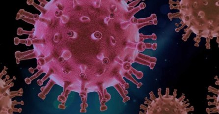 BiH: U protekla 24 sata 333 novih slučajeva zaraze koronavirusom