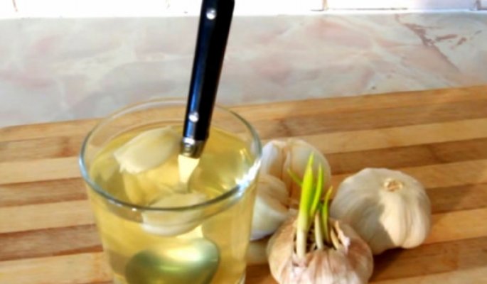 garlic-and-water