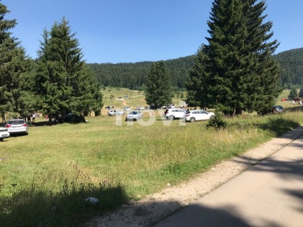 118310566-639141373652172-6675637286054848176-n