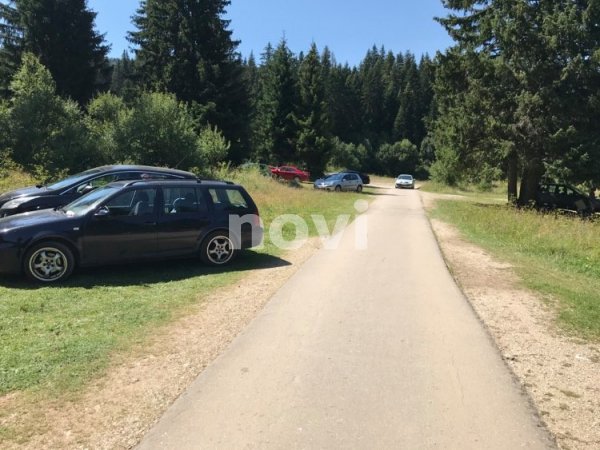 118322329-345650583233994-4561503984788108287-n