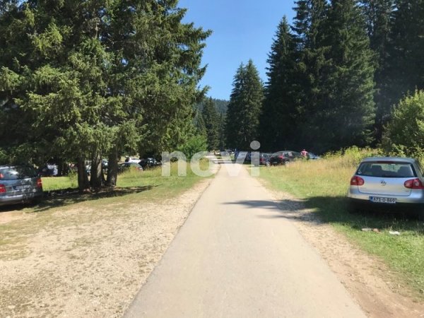 118486538-355811642092398-5456234753977939882-n