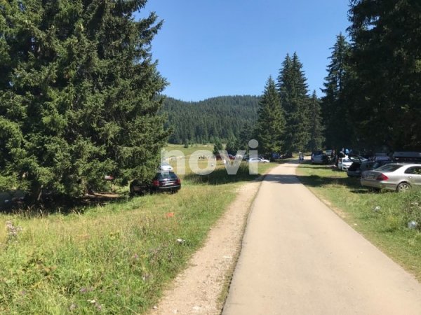 118535294-2791172504539309-259217291727785399-n