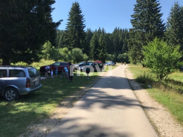 118638165-998738157242935-1872201938345622930-n