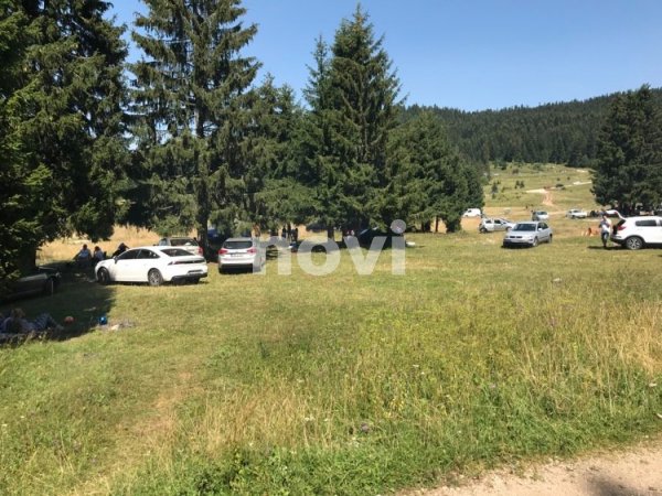 118656825-1011706279289669-684687358737865602-n