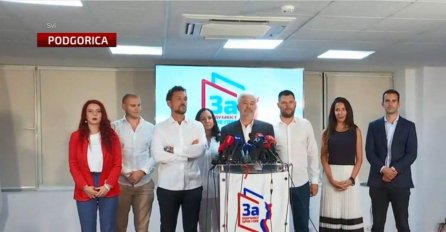 Demokratski front: Režim je pao!