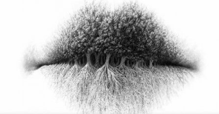 ŠTA VIDITE NA SLICI! Test koji pokazuje vašu najjaču stranu ličnosti! ONO ŠTO PRVO VIDITE SVE ĆE OTKRITI O VAMA