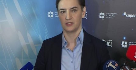 Vučić saopštio: Ana Brnabić mandatar za sastav nove vlade