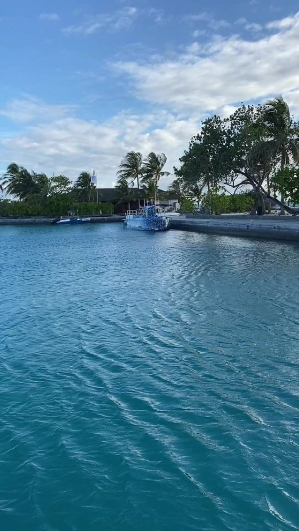 118799476-618701259039784-6587681260756467339-n