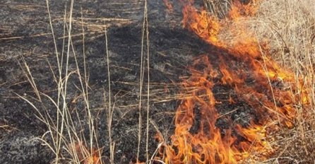 STRAVIČAN POŽAR U NAŠOJ DRŽAVI, VATRA PRIJETI KUĆAMA: Mještani u strahu napustili domove, SVE RASPOLOŽIVE SNAGE NA TERENU