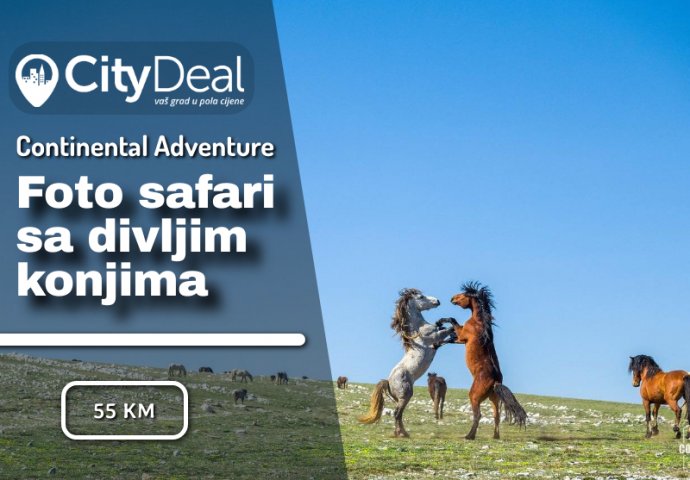 Foto safari sa divljim konjima: Jedinstvena avantura vodi vas na planinu Cincar gdje živi više od 700 divljih konja!