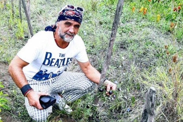 816069-radoslav-catic-ls