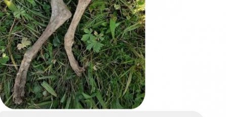 SVI OSTALI U ŠOKU: Fotografija ostataka pronađenih na brdu kruži mrežama i ljudi nagađaju o čemu se radi