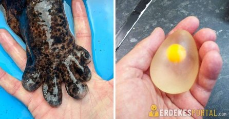 OVO JOŠ NIKADA NISTE VIDJELI: Ne, ovo nije PHOTOSHOP, ove slike će vas raspametiti, VIDITE LI ŠTA JE USLIKAO?