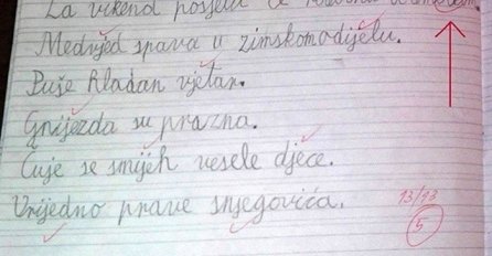 UČITELJICA SE ŠOKIRALA DIKTATOM JEDNOG DJEČAKA: Kad je vidjela OVU RIJEČ, ODMAH ZVALA RODITELJE