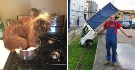 AKO MISLITE DA STE IMALI LOŠ DAN, SAMO POGLEDAJTE OVE SLIKE: Nije uredu naslađivati se, ali slika BROJ 5. JE HIT GODINE