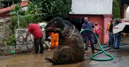 KANALIZACIJA IZBACILA 22 TONE SMEĆA I GIGANTSKOG PACOVA: Radnici se prestravili, A KAD SU PRIŠLI BLIŽE... (VIDEO)