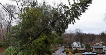 OLUJA NAPRAVILA HAOS Vjetrovi obarali drveće, desetine hiljada ljudi ostalo BEZ STRUJE (FOTO)