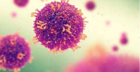 Nakon zaraze koronavirusom imunitet traje najmanje pet mjeseci