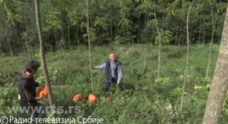 823197-26158-2340153didesekulicfootrtspt4ff-iff-ff