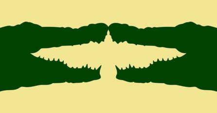 ŠTA STE PRVO VIDJELI NA SLICI? Ovaj test za 3 sekunde OTKRIVA PRAVU ISTINU O VAMA, jeste li spremni da je saznate?