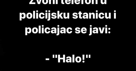 VIC: "UŠLA MI MAČKA"