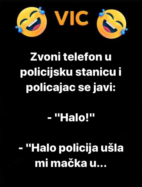 120830790-637764923593955-449995328405780900-n