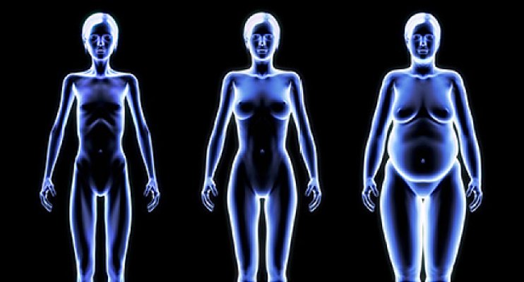 650x350-what-body-shape-says-about-health-slideshow