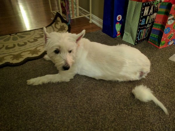 udqk9llahr0cdovl29jzg4uzxuvaw1hz2vzl3b1bhnjbxmvtnpjn01eqv8vodjmzguxy2flmjcwy2u3mdljodhkzmjjy2zkmzdhmdgucg5nkzmczqkeaieaaq