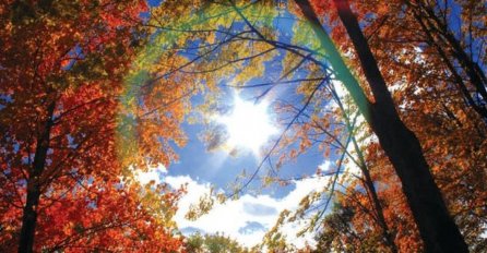 STIŽE SUNCE Sutra ujutro kiša, tokom dana razvedravanje