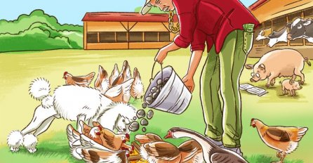 ŠTA JE ČUDNO NA OVOJ SLICI? IMA 5 GREŠAKA: Nema šanse da ih PRONAĐETE SVE!