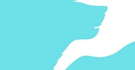 Najjednostavniji i najtačniji test koji koriste i psiholozi: Ono što prvo vidite na slici krije vašu ključnu osobinu