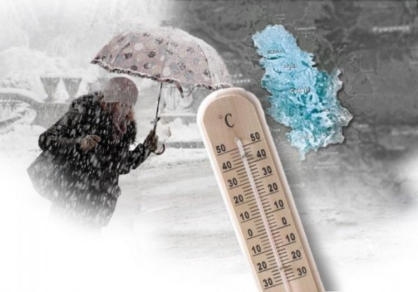 76620535-474988753360532-5056840931773251584-n