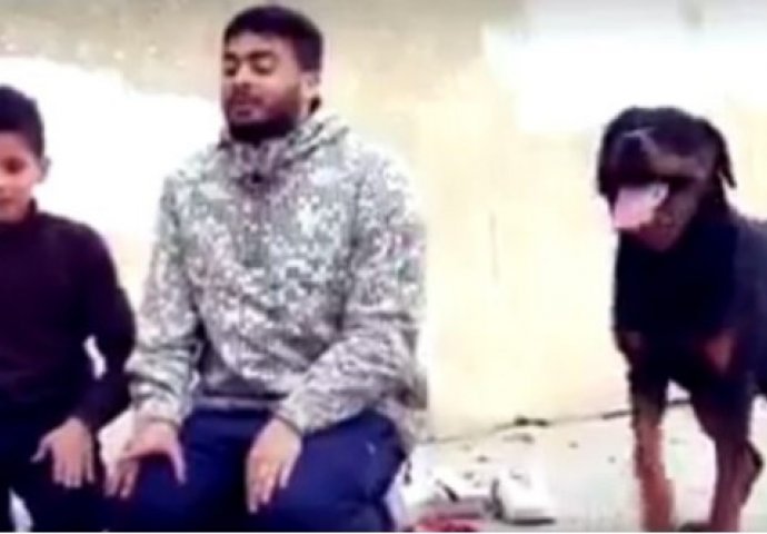 PUSTILI OPASNOG PSA NA MUSLIMANE DOK KLANJAJU I POGLEDAJTE ŠTA SE DESILO: Ovo je uradio pas kada je došao do njih