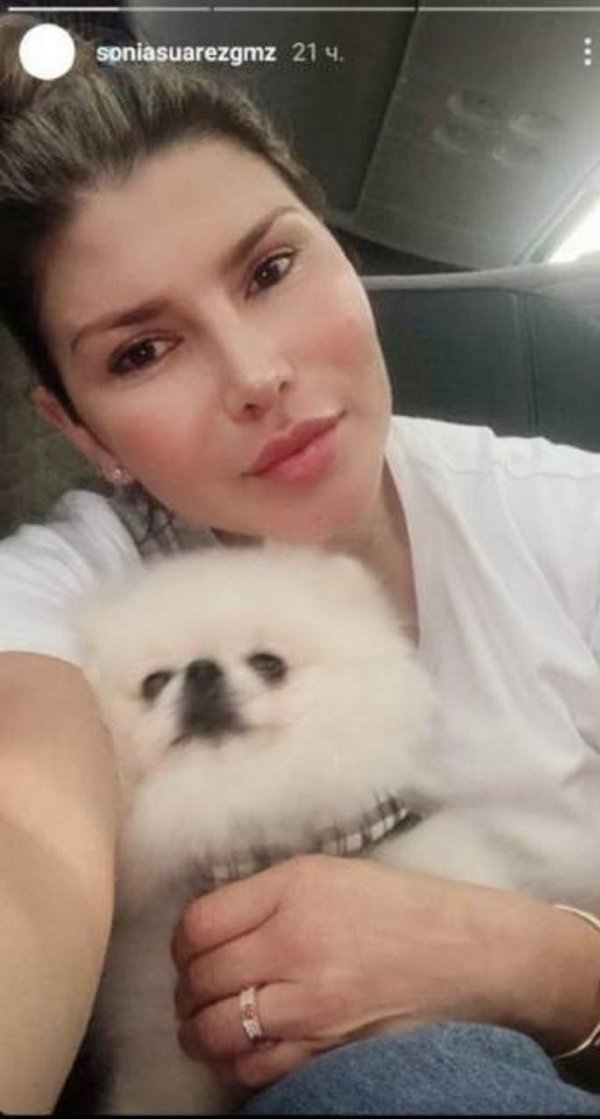 1602343128549-sonja-suarez-830x0