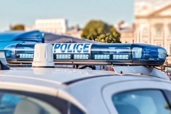 2143263-profimedia0303361387-ls