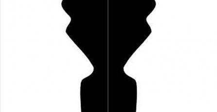 DOBRO POGLEDAJTE! ŠTA PRVO VIDITE NA SLICI? Najjednostavniji test otkriva vaš skriveni karakter