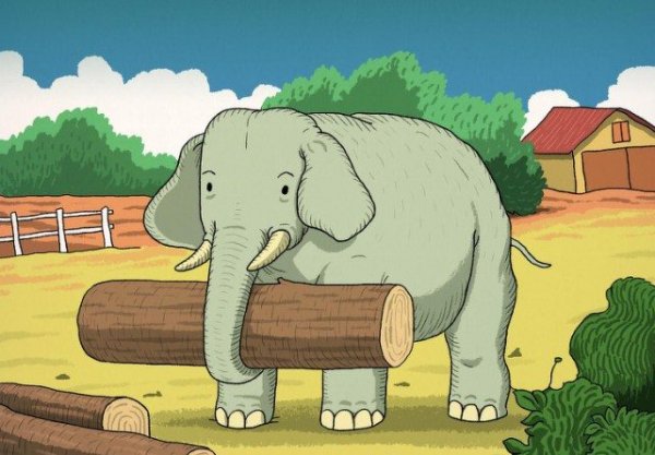 elephant-640x445