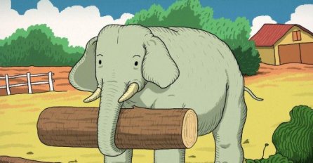 SAMO GENIJE ĆE UOČITI: Možete li pronaći životinju skrivenu na fotografiji? PAŽLJIVO GLEDAJTE