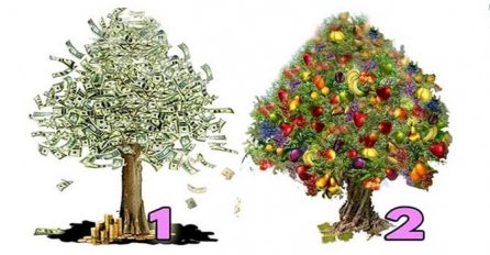 IZABERITE JEDNO DRVO I SAZNAJTE DA LI ĆETE SE OBOGATITI: Test je tačan 100%, EVO KAD PARE STIŽU